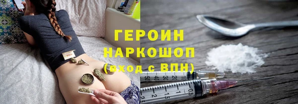 индика Новодвинск