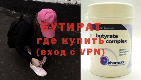 индика Новодвинск