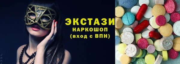 индика Новодвинск