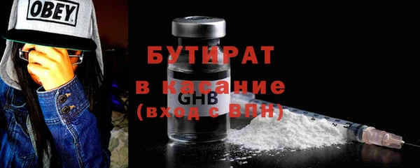 индика Новодвинск