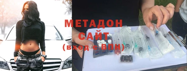 индика Новодвинск