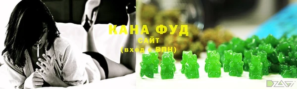 индика Новодвинск