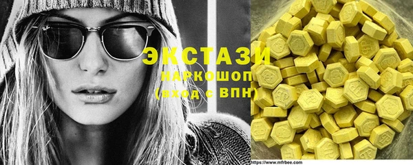 индика Новодвинск