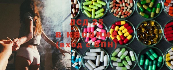 индика Новодвинск