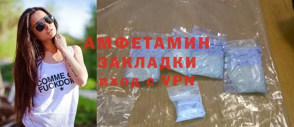 индика Новодвинск