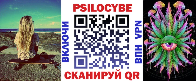 Псилоцибиновые грибы Psilocybe  Пучеж 